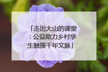 走出大山的课堂：公益助力乡村学生触摸千年文脉