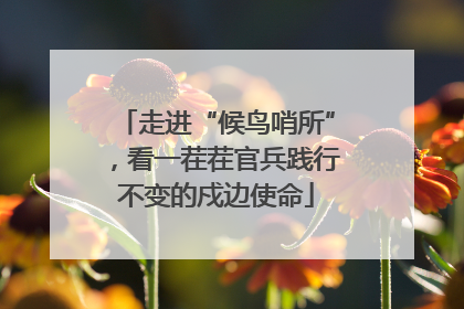 走进“候鸟哨所”，看一茬茬官兵践行不变的戍边使命