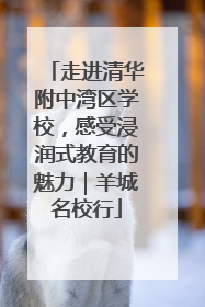 走进清华附中湾区学校，感受浸润式教育的魅力｜羊城名校行