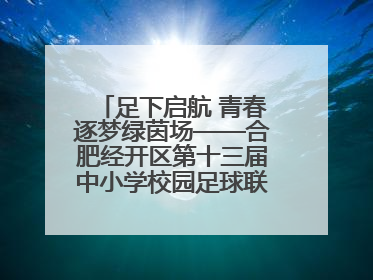 足下启航 青春逐梦绿茵场——合肥经开区第十三届中小学校园足球联赛圆满收官