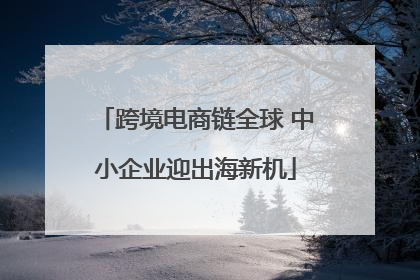 跨境电商链全球 中小企业迎出海新机