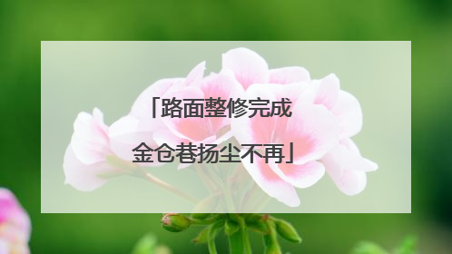 路面整修完成 金仓巷扬尘不再