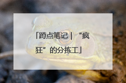 蹲点笔记｜“疯狂”的分拣工