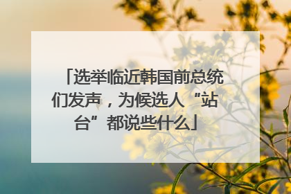 选举临近韩国前总统们发声，为候选人“站台”都说些什么