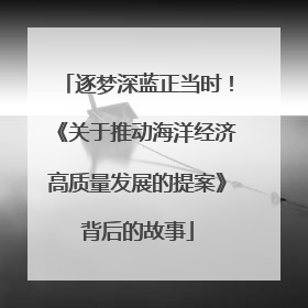 逐梦深蓝正当时！《关于推动海洋经济高质量发展的提案》背后的故事