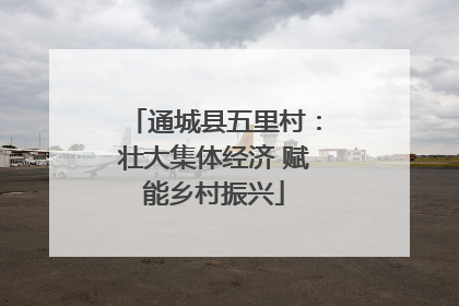 通城县五里村：壮大集体经济 赋能乡村振兴