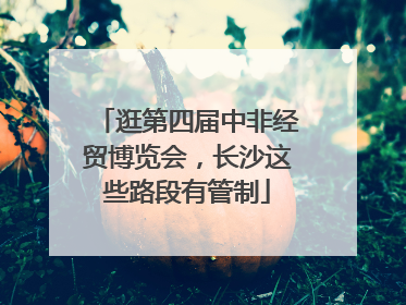 逛第四届中非经贸博览会，长沙这些路段有管制