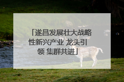 遂昌发展壮大战略性新兴产业 龙头引领 集群共进