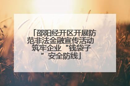 邵阳经开区开展防范非法金融宣传活动 筑牢企业“钱袋子”安全防线