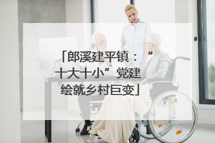郎溪建平镇：“十大十小”党建 绘就乡村巨变
