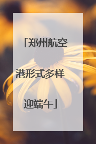 郑州航空港形式多样迎端午
