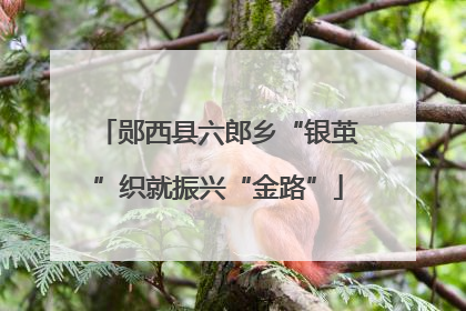 郧西县六郎乡“银茧”织就振兴“金路”