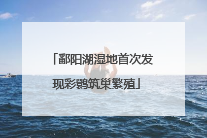 鄱阳湖湿地首次发现彩鹮筑巢繁殖