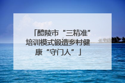 醴陵市“三精准”培训模式锻造乡村健康“守门人”