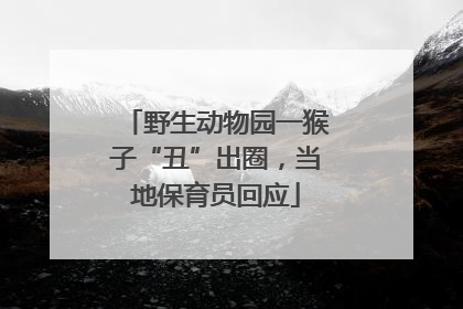 野生动物园一猴子“丑”出圈，当地保育员回应