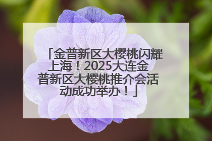 金普新区大樱桃闪耀上海！2025大连金普新区大樱桃推介会活动成功举办！