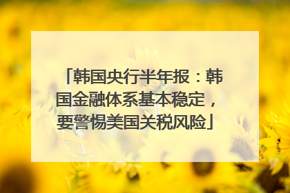 韩国央行半年报：韩国金融体系基本稳定，要警惕美国关税风险