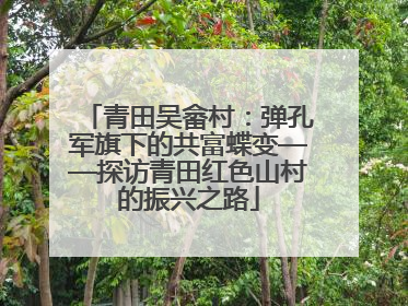 青田吴畲村：弹孔军旗下的共富蝶变——探访青田红色山村的振兴之路