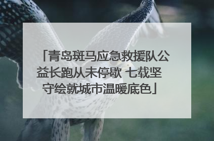 青岛斑马应急救援队公益长跑从未停歇 七载坚守绘就城市温暖底色
