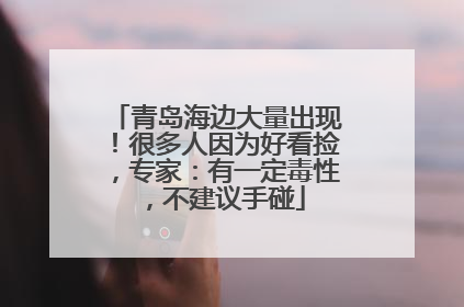 青岛海边大量出现！很多人因为好看捡，专家：有一定毒性，不建议手碰