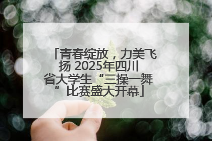青春绽放，力美飞扬 2025年四川省大学生“三操一舞”比赛盛大开幕
