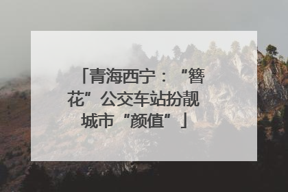 青海西宁：“簪花”公交车站扮靓城市“颜值”