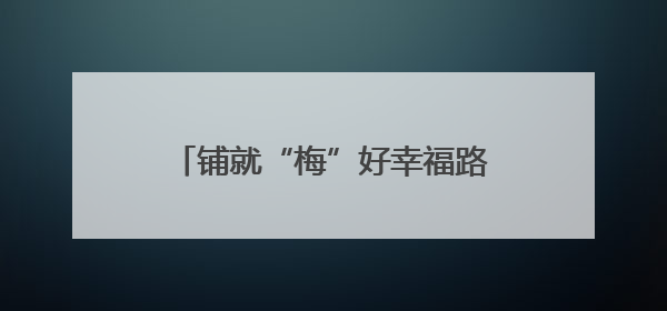 铺就“梅”好幸福路 共绘乡村致富图
