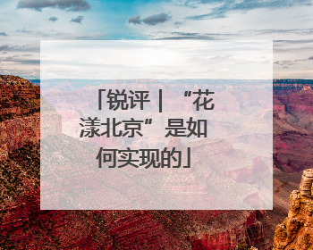 锐评｜“花漾北京”是如何实现的