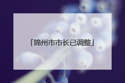 锦州市市长已调整