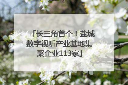 长三角首个！盐城数字视听产业基地集聚企业113家