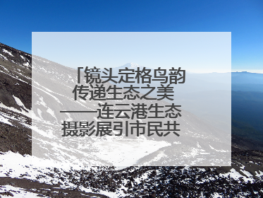 镜头定格鸟韵 传递生态之美——连云港生态摄影展引市民共赏自然之魅