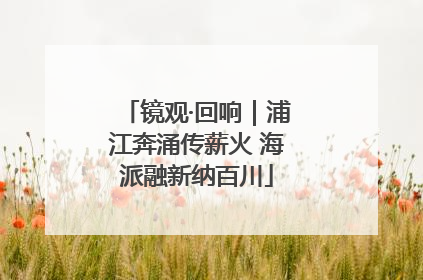 镜观·回响｜浦江奔涌传薪火 海派融新纳百川