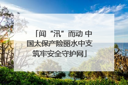 闻“汛”而动 中国太保产险丽水中支筑牢安全守护网