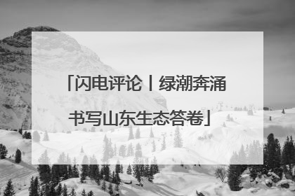 闪电评论丨绿潮奔涌 书写山东生态答卷