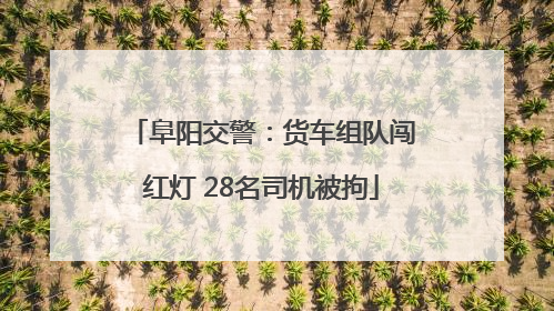 阜阳交警：货车组队闯红灯 28名司机被拘