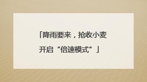 降雨要来，抢收小麦开启“倍速模式”