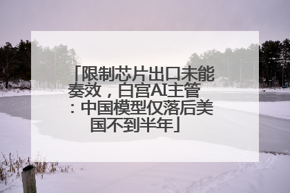 限制芯片出口未能奏效，白宫AI主管：中国模型仅落后美国不到半年