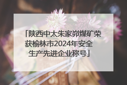 陕西中太朱家峁煤矿荣获榆林市2024年安全生产先进企业称号