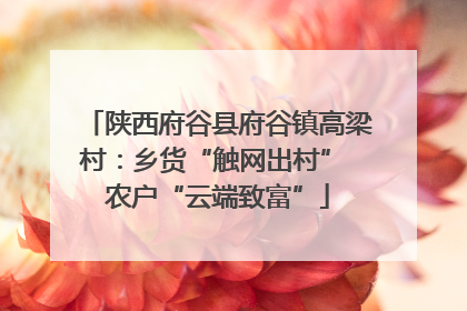 陕西府谷县府谷镇高梁村：乡货“触网出村” 农户“云端致富”