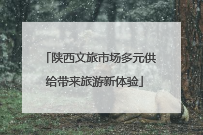 陕西文旅市场多元供给带来旅游新体验