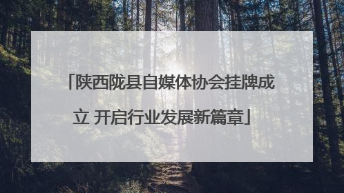 陕西陇县自媒体协会挂牌成立 开启行业发展新篇章