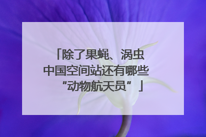 除了果蝇、涡虫 中国空间站还有哪些“动物航天员”