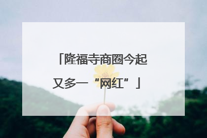 隆福寺商圈今起又多一“网红”