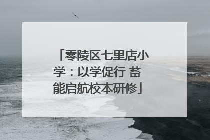 零陵区七里店小学：以学促行 蓄能启航校本研修