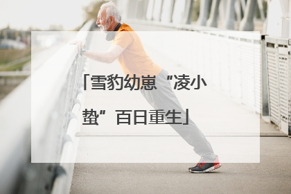 雪豹幼崽“凌小蛰”百日重生