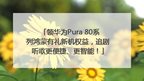领华为Pura 80系列鸿蒙有礼新机权益，追剧听歌更便捷、更智能！