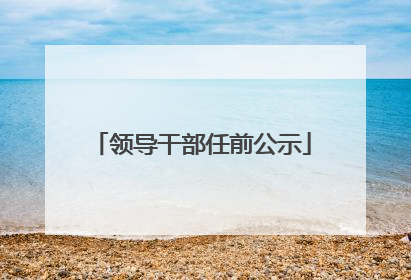 领导干部任前公示