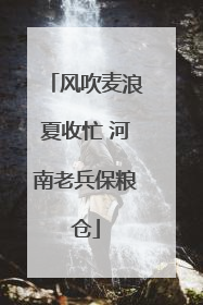 风吹麦浪夏收忙 河南老兵保粮仓