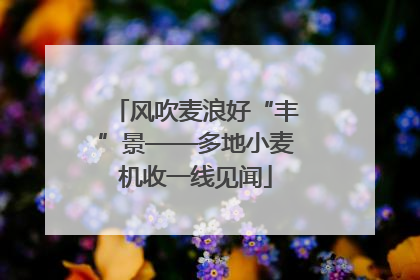 风吹麦浪好“丰”景——多地小麦机收一线见闻