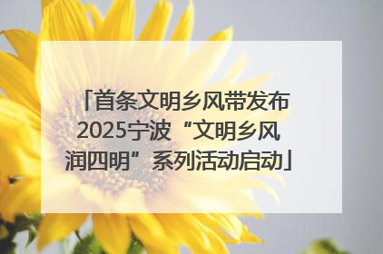 首条文明乡风带发布 2025宁波“文明乡风润四明”系列活动启动